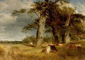 Landscape in the Dukeries, Nottinghamshire