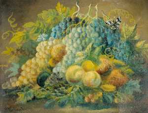 Still Life, Fruit and Butterfly