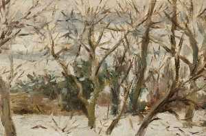 Orchard Snowscape, Felsted