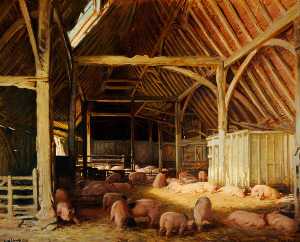 porcs dans  une  grange