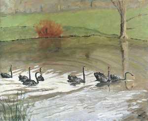 Negro Cisnes a Chartwell