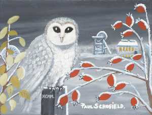 Snowy Owl II
