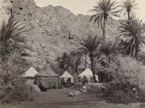 Campamento en el yermo de paran ( 529 )