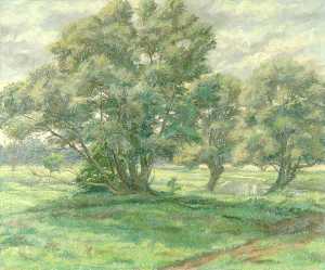 Suffolk Willows