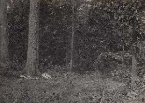 Scena di Generale McPherson's Morte l'album viste fotografiche di Sherman's Campagna