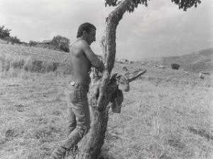 Shepard Leaning on Tree, Sicily