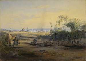 Un Baia  con  spedizione  come  dopodomani  distanza  1842