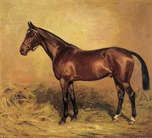 Horse Portrait, 'Screwdriver'