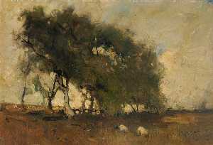 Landscape Trees and Sheep