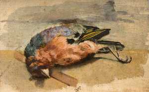 Study of a Dead Chaffinch
