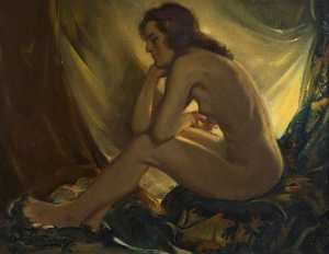seduti nudo femminile come  artificiale  luce