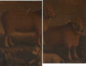 Ryeland Озу , Овца и агнец ( диптих )