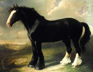 Старый английский Черного  конь