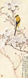 pájaro perching por magnolia