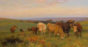 Herd of Cows in a Blossoming Meadow on the Cliffs