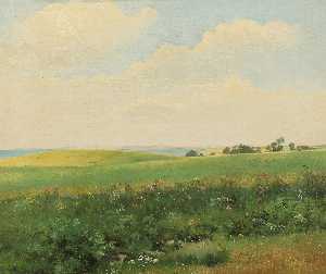 Summer landscape with rolling fields