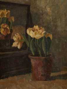 Still Life of Yellow Tulips in a Terracotta Pot in Front of a Mirror