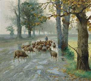 Flock of sheep on a rainy autumn day