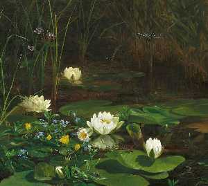 Forest Lake with Blooming Water Lilies and Insects