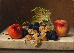 Fruit still life with two peaches and blue and green grapes on the branch and a vine leaf
