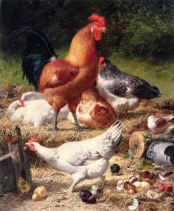 Hens and Chickens in a Farmyard