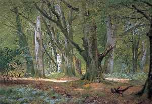 In the Shade of the Beeches, Buckhurst Park, Kent