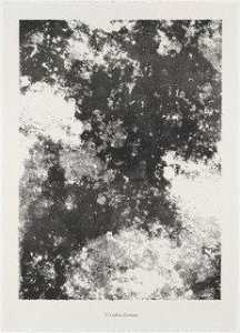 Baum des Schatten ( L'arbre d'ombre ) aus dem portfolio Ausdehnungen , Partitionen ( Etendues , parois ) aus phänomenen ( les phénomènes )