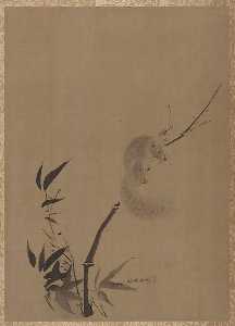 écureuil sur  Bambou