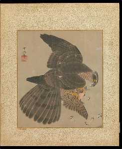 十鷹書画冊 Album of Hawks and Calligraphy