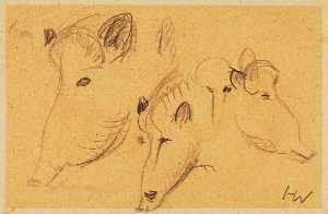 Boars (Three Heads)