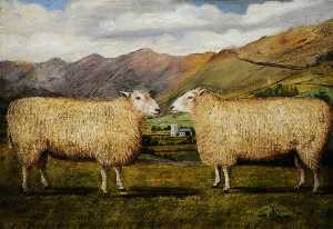 Two Sheep in Profile
