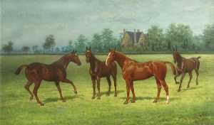 'Lockey', 'Lady Abbess', 'Beatrice' and 'Mahomet' Four Horses in a Field