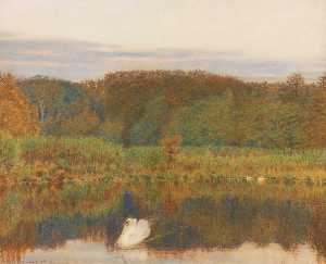 abinger mill pond , Surrey Mattina in tardi autunno