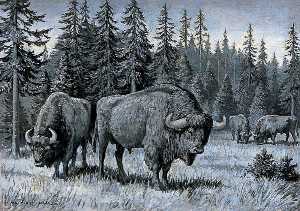 Dioramas of Pleistocene, 'Bison briscas' (Extinct European Bison)