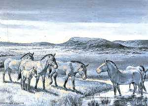 Dioramas of Pleistocene, 'Equus przewashii' (Mongolian Wild Horse)