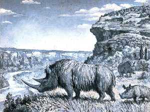 Dioramas of Pleistocene, 'Tieharhiuus antiquitatis' (Woolly Rhinoceros)