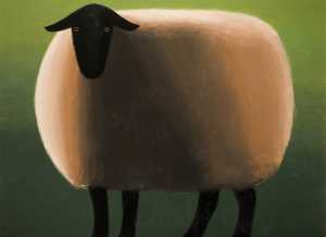 Nero di fronte  pecore