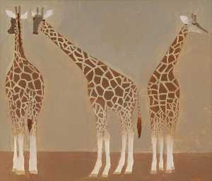 tre giraffe