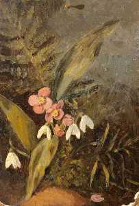 Still Life with Snowdrops, Pink Primroses and Ferns