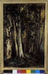 Forêt de Fontainebleau (sous bois)