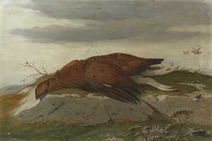 Game Study Red Grouse in a Landscape