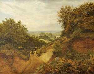 View from Leith Hill, Dorking, Surrey