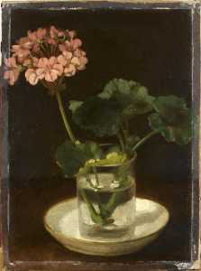 Géranium rose dans un verre