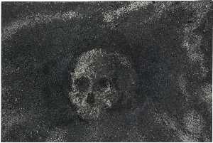 Skull No. 15