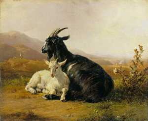 chèvre et  enfant