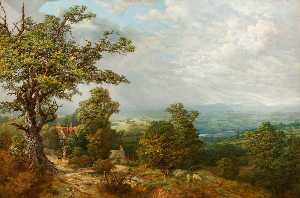View of Charlton Hill, Shropshire
