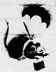 Fallschirmspringen Ratte