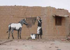 Washing zebra stripes